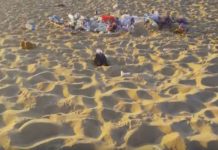 Littoral d’Alger : près de 33 tonnes de déchets collectées Plage Alger