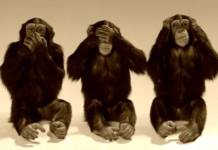 « Taghanenet » comme mode de communication publique Omerta Monkey