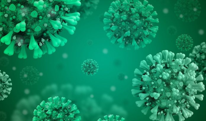 Coronavirus : 222 nouveaux cas et 5 décès en 24h