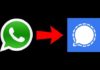 Nouvelles règles de WhatsApp: boom de l’application concurrente Signal Nouvelles règles de WhatsApp: boom de l'application concurrente Signal