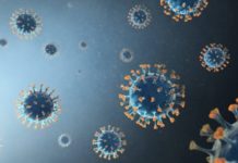 Coronavirus : 245 nouveaux cas et 5 décès en 24h Coronavirus : 210 nouvelles contaminations et 3 décès en 24h