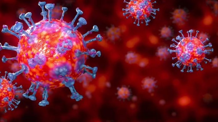 Coronavirus: 263 nouveaux cas et 4 décès en 24h Coronavirus: 263 nouveaux cas et 4 décès en 24h