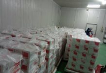 Fawzi Derrar: « L’Algérie recevra 5 millions de doses du vaccin chinois par mois » Fawzi Derrar: "L'Algérie recevra 5 millions de doses du vaccin chinois par mois"