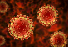 Coronavirus en Algérie: 197 nouveaux cas et 3 décès Coronavirus: 557 nouveaux cas et 14 décès en Algérie