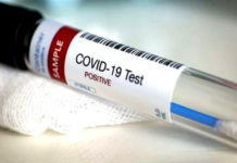 Coronavirus: 25 nouveaux cas et aucun décès en Algérie Covid-19: une nouvelle contamination et aucun décès ces dernières 24h en Algérie