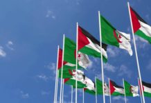 L’Algérie exprime son rejet des plans visant à vider Ghaza de sa population L'Algérie exprime son rejet des plans visant à vider Ghaza de sa population